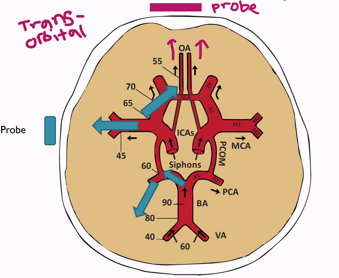 <p><span style="background-color: transparent;"><span>Toward the probe</span></span></p>