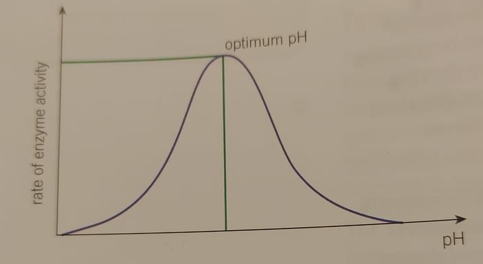 <p>…</p>