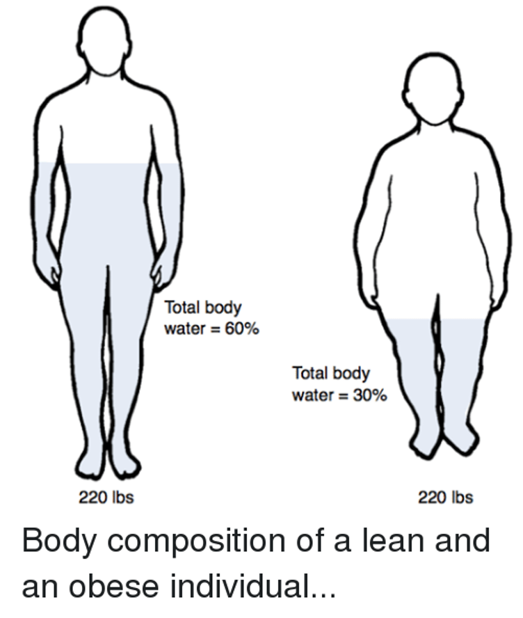 <p>•<span style="font-family: "Goudy Old Style";">Consider VOD for the loading dose</span></p><p>•<span style="font-family: "Goudy Old Style";">Consider clearance for maintenance dose</span></p><p>•<span style="font-family: "Goudy Old Style";">Give water soluble drugs according to IBW</span></p><p>•<span style="font-family: "Goudy Old Style";">Give lipid soluble drugs according to TBW</span></p><p>•<span style="font-family: "Goudy Old Style";">Volume of the central compartment where drugs are first distributed= unchanged</span></p><p>•<span style="font-family: "Goudy Old Style";">Absolute body water content is decreased</span></p><p>•<span style="font-family: "Goudy Old Style";">Lean body mass &amp; adipose tissue are increased</span></p>