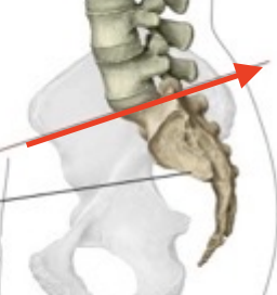 <p>What is the structure?</p>