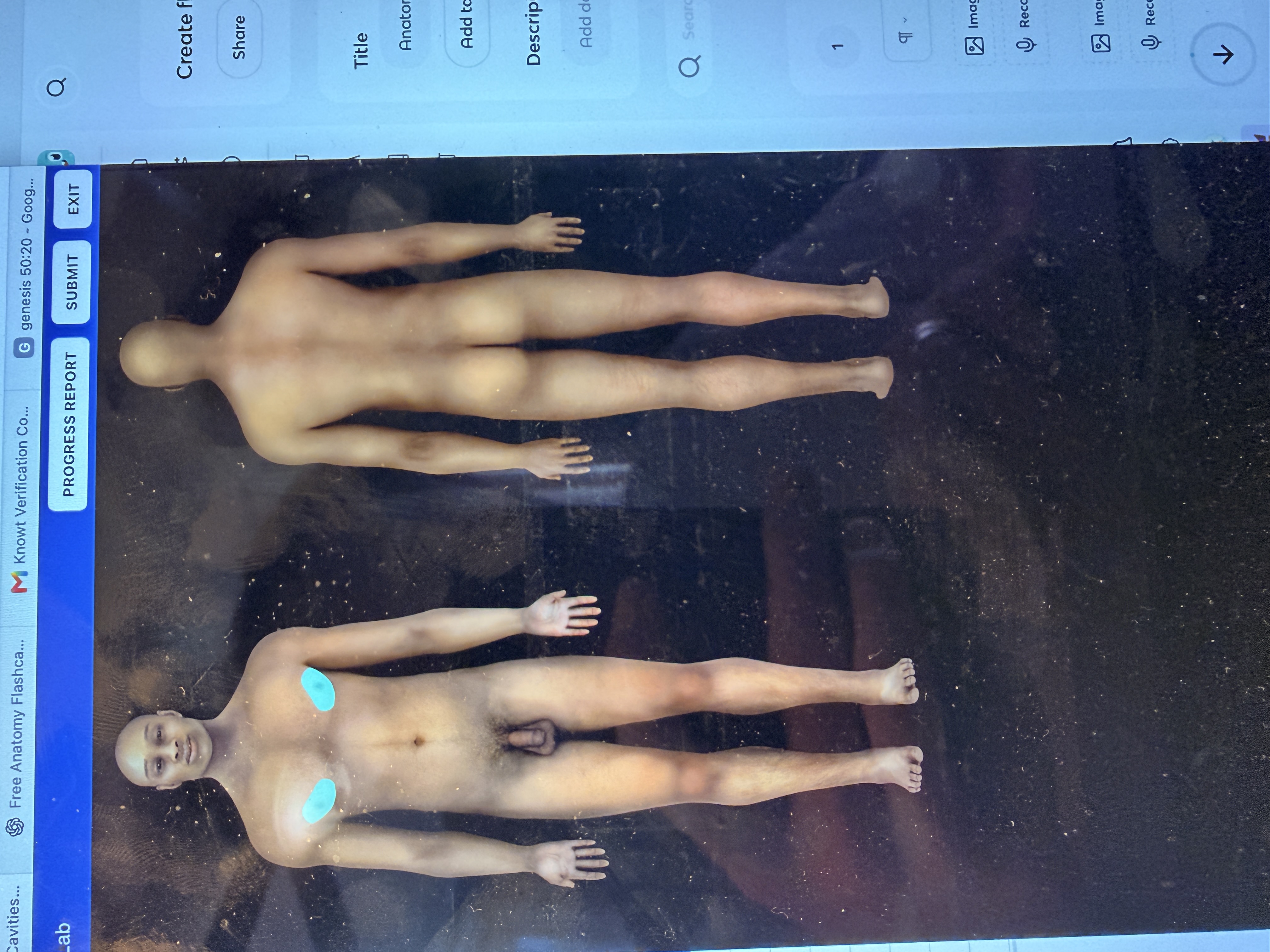 knowt flashcard image