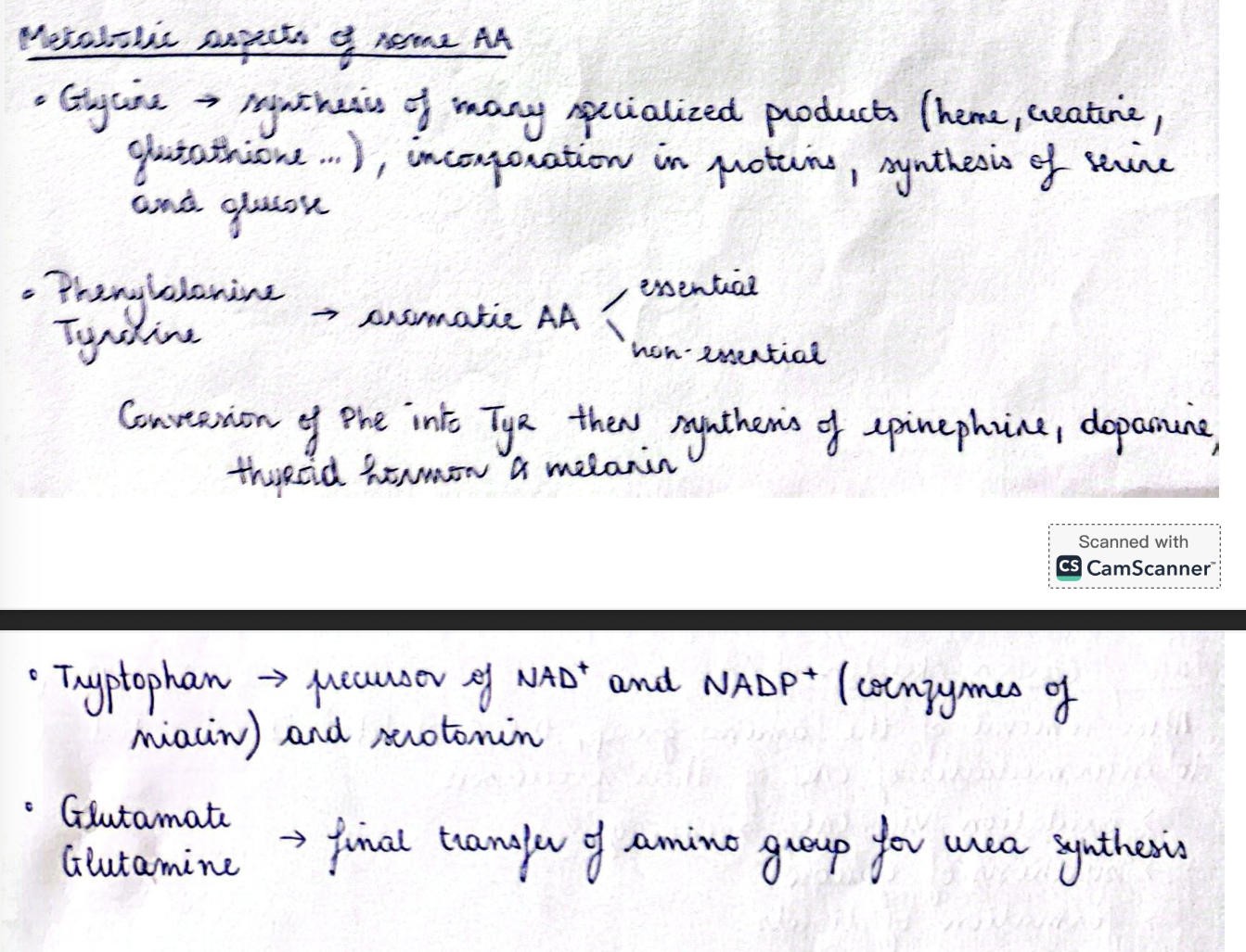 knowt flashcard image