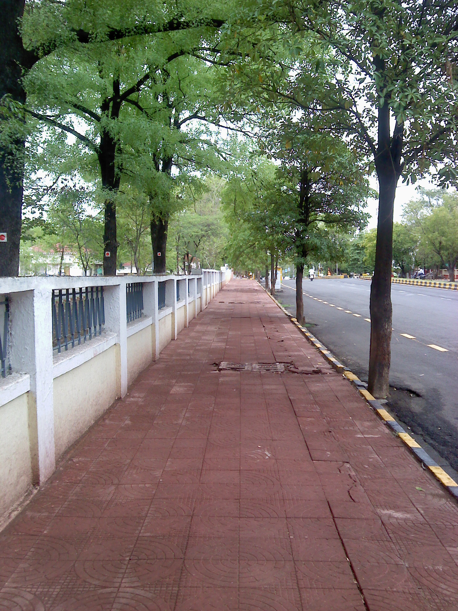<p>lối đi bộ</p>