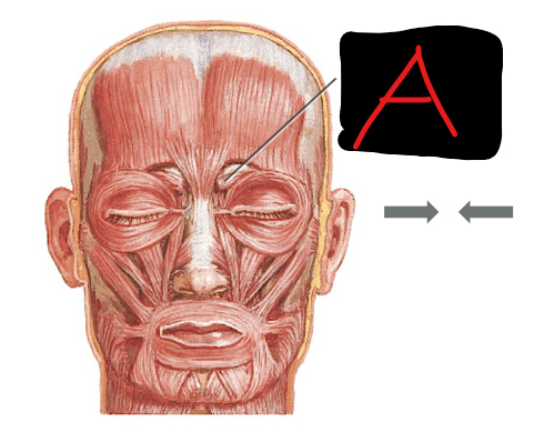 <p>Define A</p>