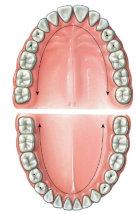 knowt flashcard image