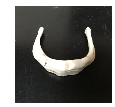 <p>in our neck </p>
