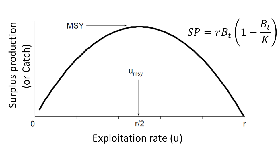 <p>Rate of exploitation at MSY</p><p>r/2</p>