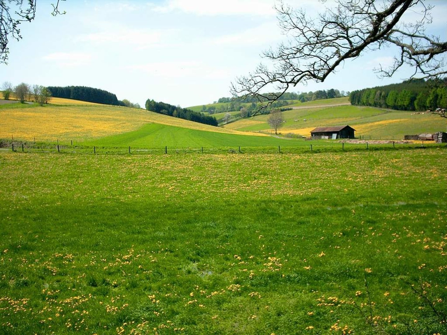 <p>a landscape with nothing extreme or threatening about it</p>