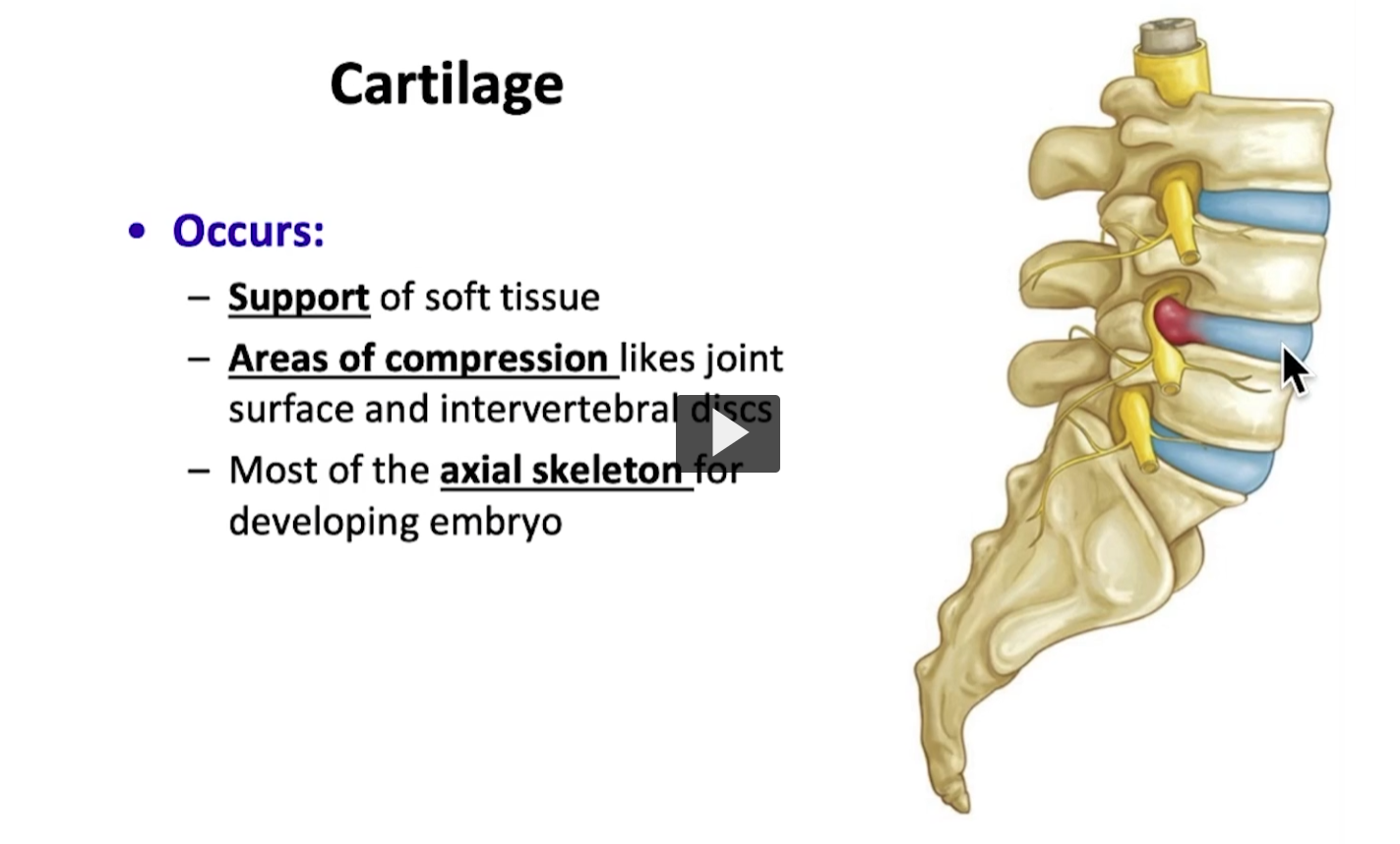 <p>A good classic example is the intervertebral disc, which is made up of fibrocartilage and can handle areas of compression and resist against movements of the vertebral column. </p>