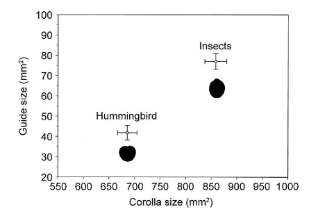 <p>The figure below shows the average flower guide size as a function of corolla size preferred by</p><p>different pollinators of the monkey flower, Mimulus luteus, in Chile. This is an example of</p><p>A. directional selection favoring large corolla size.</p><p>B. directional selection favoring large guide size.</p><p>C. directional selection favoring small corolla and large guide size.</p><p>D. disruptive selection.</p><p>E. stabilizing selection</p>