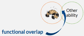 <p>the assumption of transfer occurring if underlying processes are shared between the practiced task and non-practiced ones of the same domain</p><ul><li><p>because variation in WM is correlated with variation in many other abilities, by enhancing WM, we may be able to improve a wide range of related cognitive abilities due to functional overlap</p></li></ul><p></p>