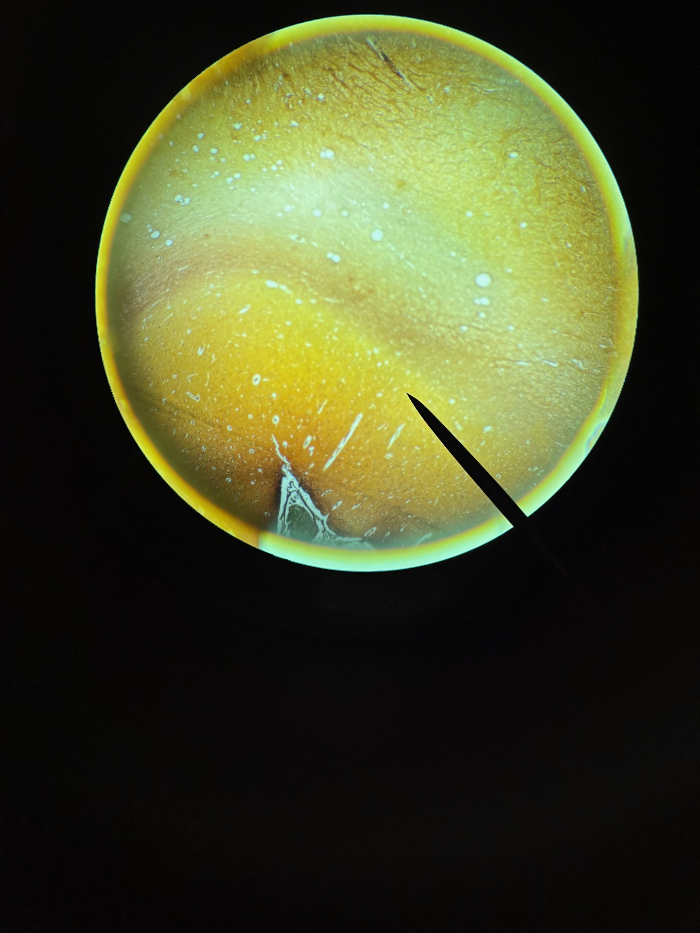 <p>What is this?</p>