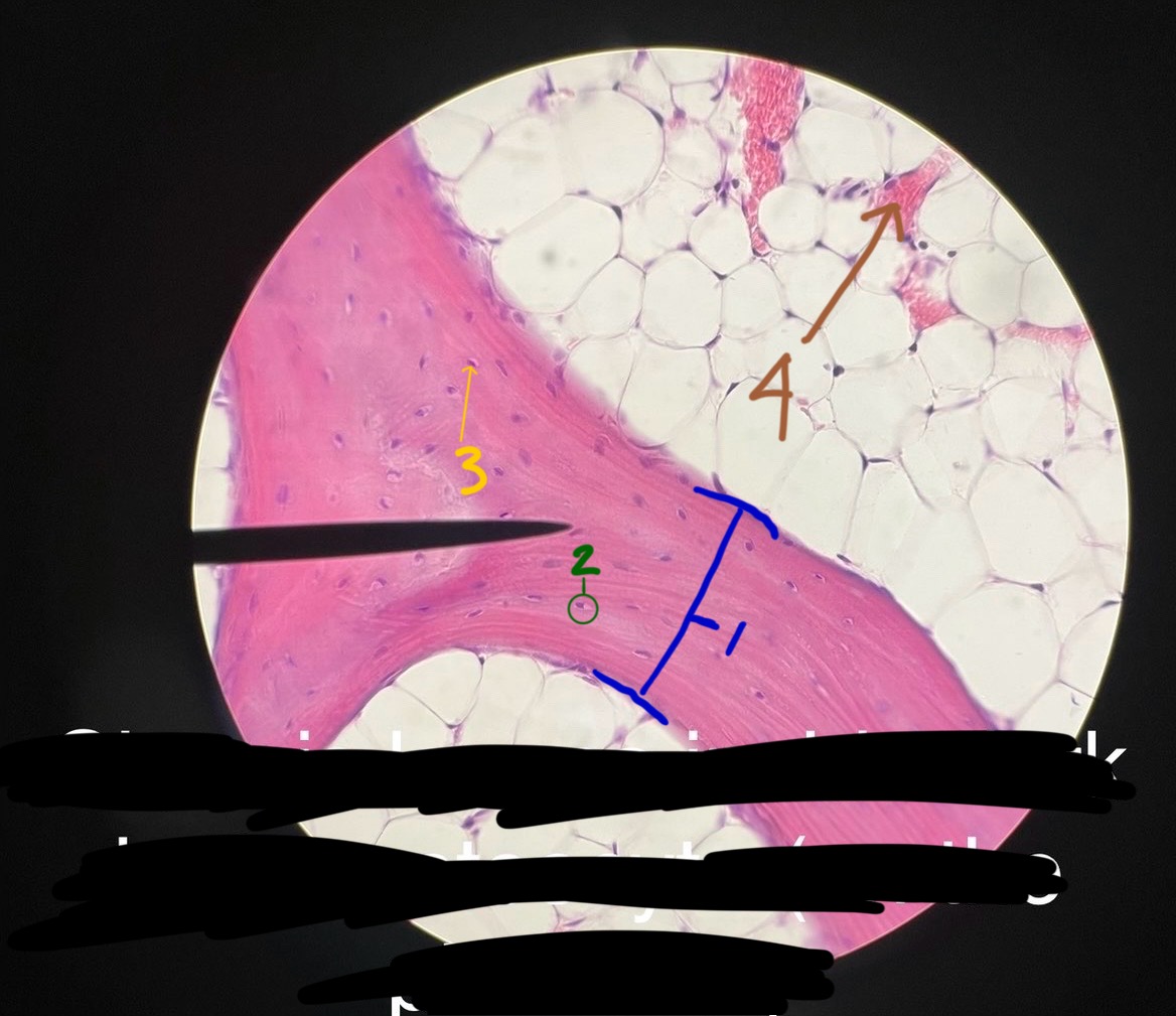 <p>3</p>