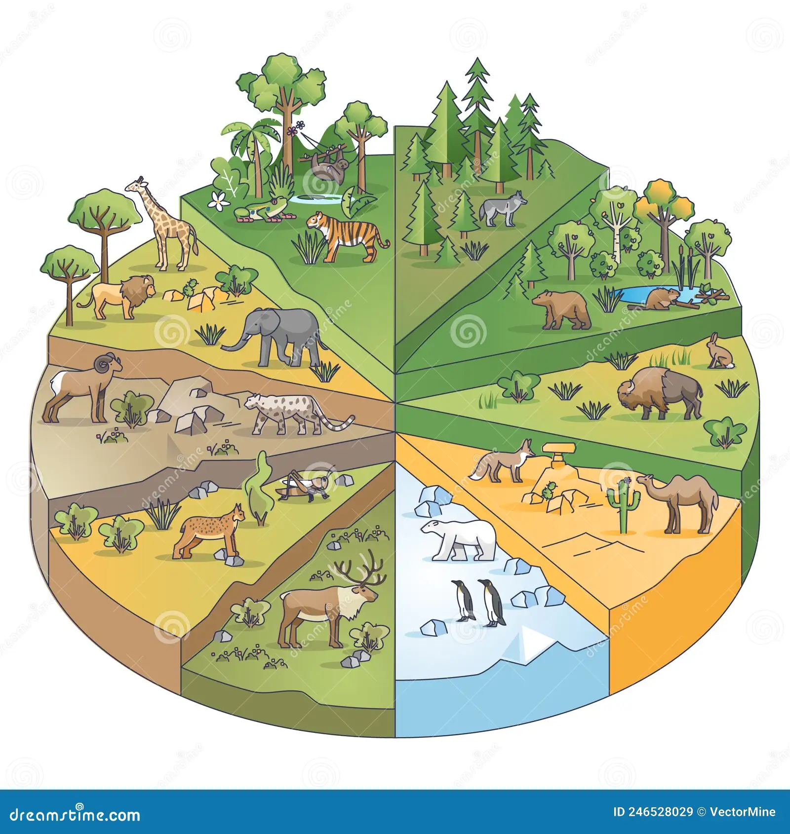 <p>Habitat</p>