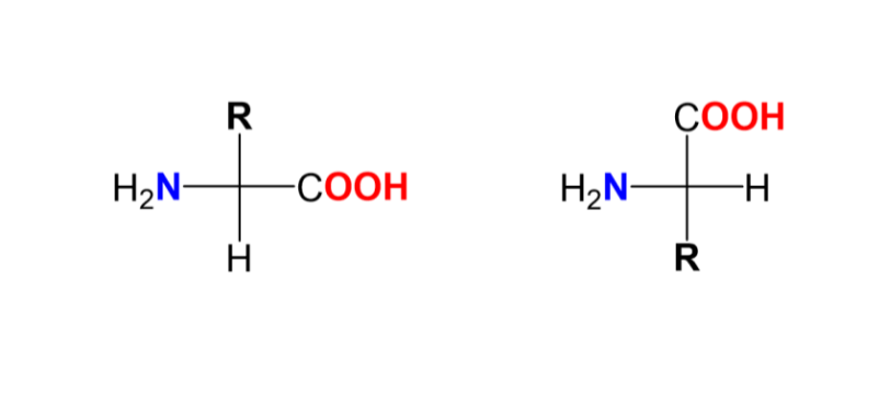 <p>Biological amino acids are L-stereoisomers. (The amino acid will be to the left side in a Fischer projection)</p>