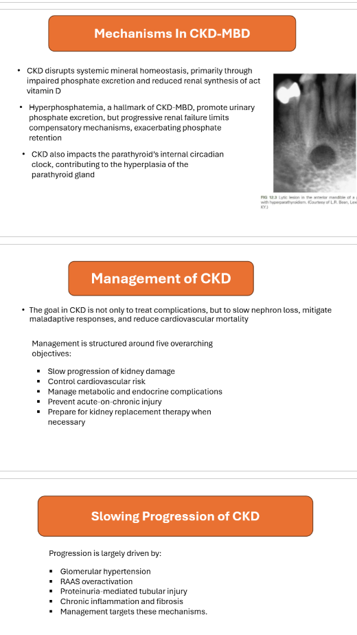 <p>Hyperphosphatemia </p>