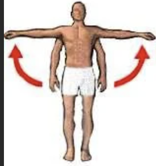 <p>muscles that draw a body part, such as a finger, arm, or toe, inward toward the median axis of the body or of an extremity. Example: In the hand, ________ draws the fingers together.</p>