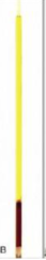 <p>yellow</p><p>may indicate liver disease</p>