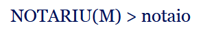 term image