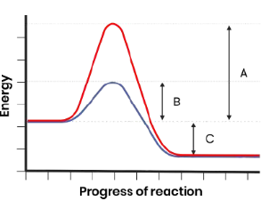 <p></p>