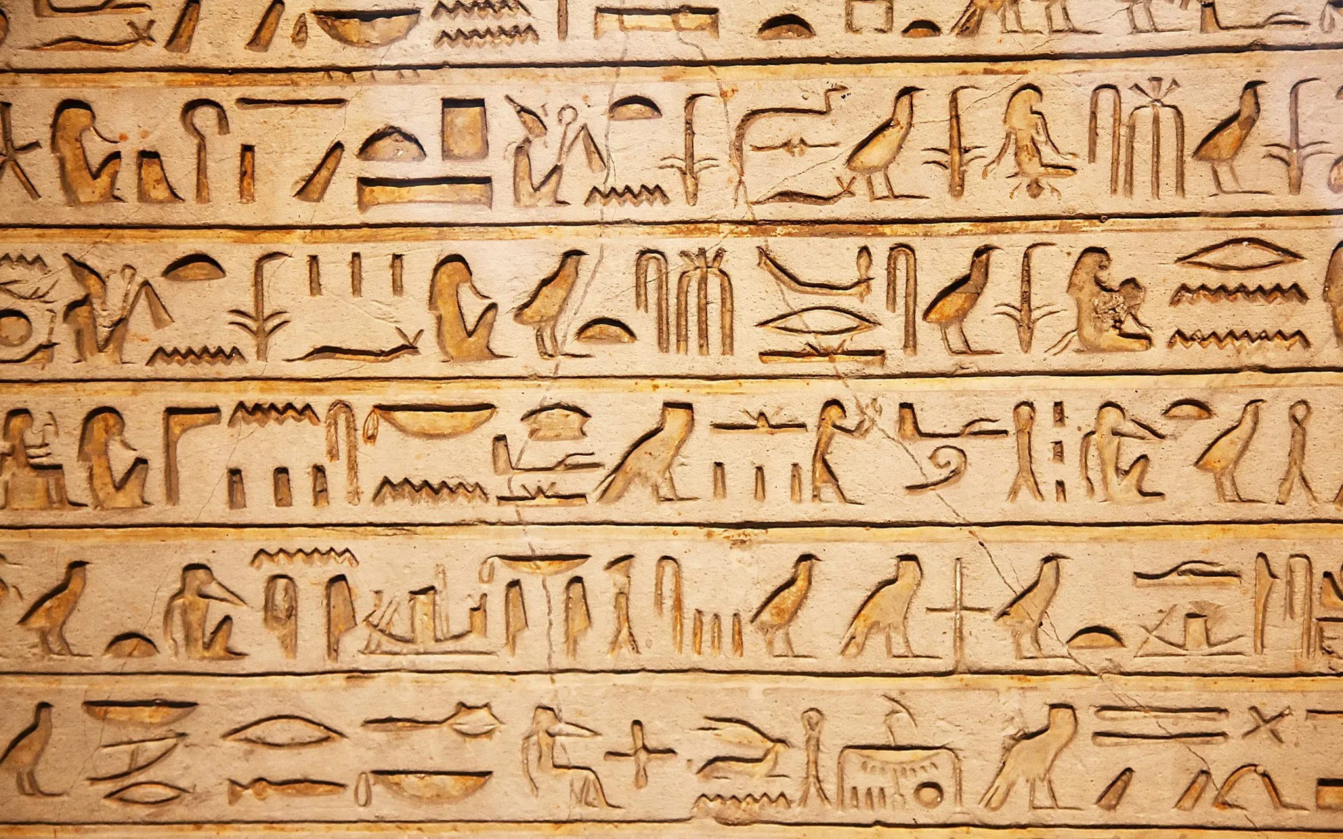 <p>A system of writing used by Ancient Egyptians using<mark data-color="yellow" style="background-color: yellow; color: inherit;"> pictures to represent sounds, words and ideas</mark></p>