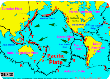 <p>The plate to the left (west ) of North and South America </p>