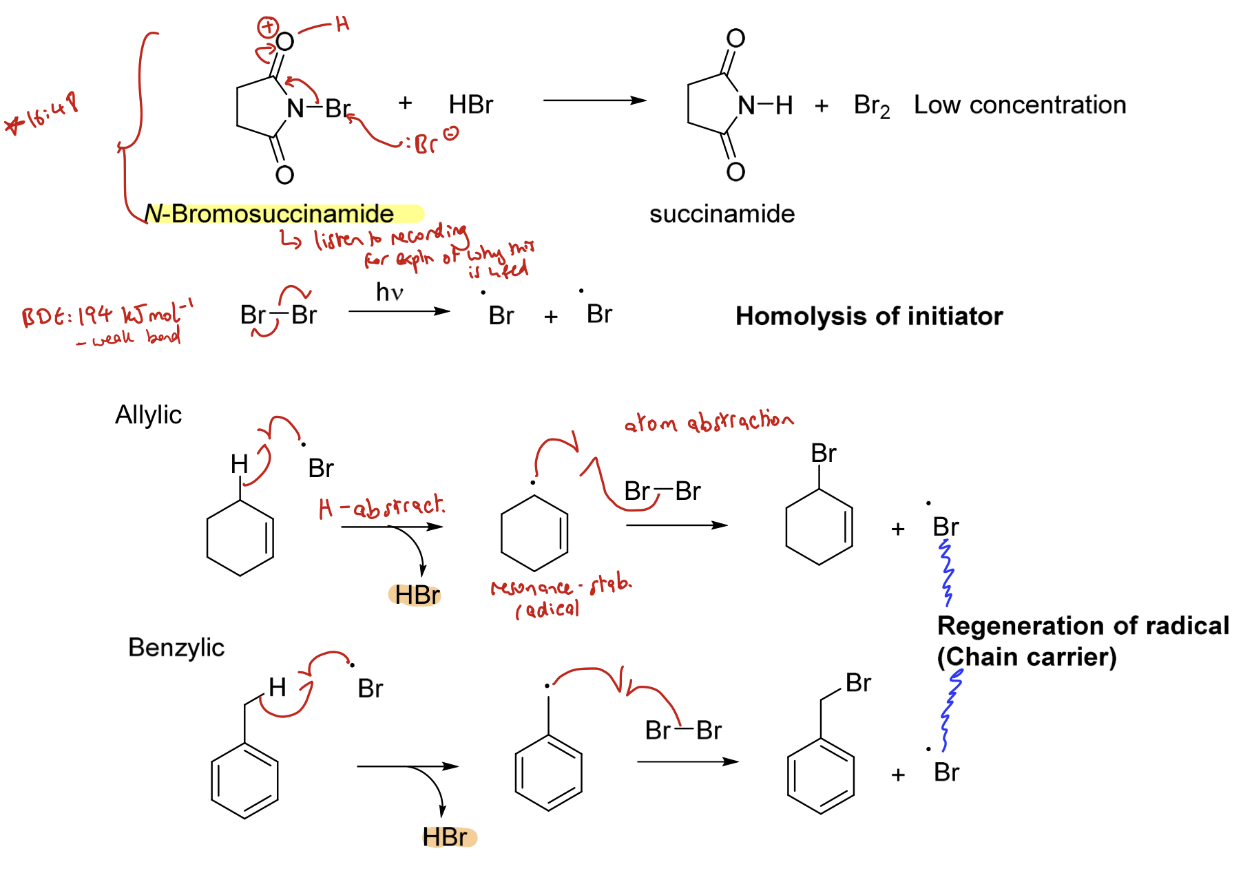 <p><strong>Radical halogenation of an allylic or benzylic compound using N-halosuccinamides.</strong></p><p>Homolysis of the initiator (halogen)</p><p>Halogen abstracts hydrogen (hydrogen abstraction) to form an allylic/ benzylic radical</p><p>This radical reacts with the halogen (e.g. Br₂) to create a halogen substituted allyl/ benzene and regenerates the radical (the chain carrier)</p><p>Can be represented in a cycle (not shown here).</p>