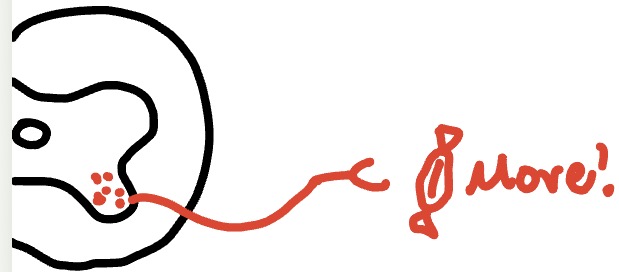 <ul><li><p>Conscious control </p></li><li><p><strong>Effector: </strong>skeletal muscle</p></li><li><p><strong>Efferent pathway: </strong>one neuron system</p></li><li><p><strong>Neurotransmitter &amp; response of target organ: </strong>acetylcholine (excitatory)</p></li></ul><p></p>