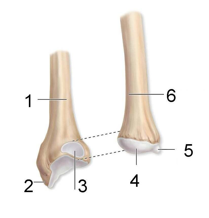 <p>What is identified in the photo (#1–#6)</p>