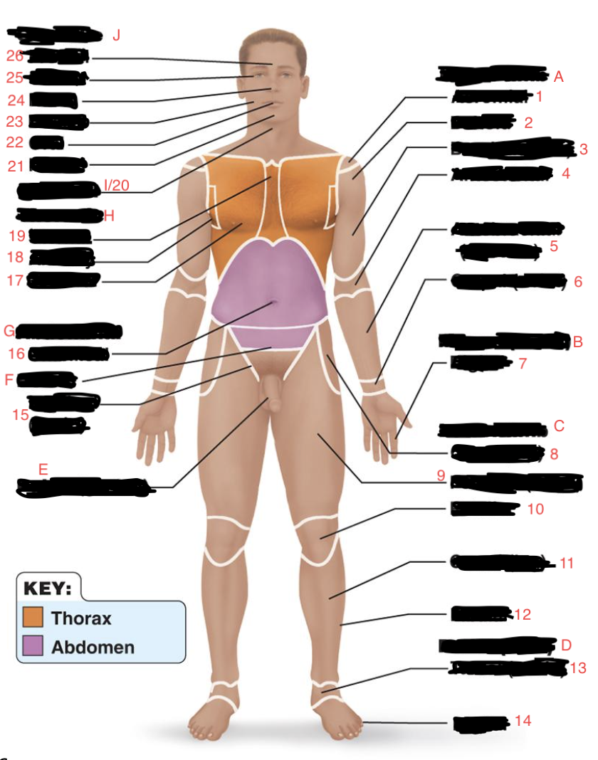 <p>What is #12?</p>
