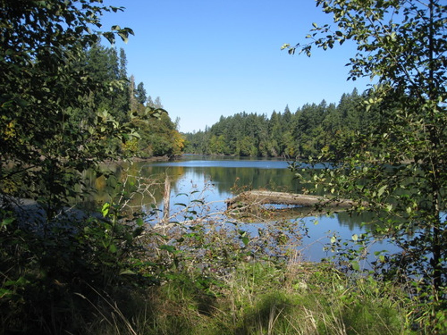 <p>Materials or substances (minerals, forests, water, and fertile land) that occur in nature and can be used for economic gain</p>