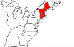 <p>Massachusetts, Connecticut, Rhode Island, New Hampshire</p>