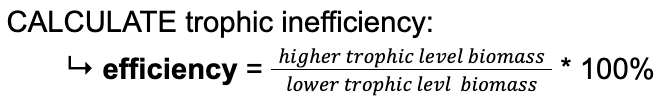 <ul><li><p><strong>trophic level</strong> = within <strong>food chain</strong>, level organism</p><ul><li><p><span style="background-color: transparent;"><em><u>producers (plants) →primary consumers → secondary consumers →tertiary consumers</u></em></span></p></li><li><p><span style="background-color: transparent;">*<strong>note</strong>: only <strong>~10% energy</strong> <strong>transferred</strong> <u>per</u> level—rest lost respiration/heat</span></p></li></ul></li></ul><p></p><ul><li><p><strong>POSSIBLE</strong> <em>reasons</em><strong><em> TROPHIC ‘loss’</em>:</strong></p><ul><li><p>a) (mainly) lost <strong>respiration</strong>/heat</p></li><li><p>b) <strong>not</strong> all eaten (<strong>bones</strong>, etc. + die natural causes)</p></li><li><p>c) <strong>varies</strong> <strong>5-20%</strong> between species bc <strong>warm</strong>-<strong>blooded</strong> use <em>more</em> energy</p></li></ul></li></ul><p></p>
