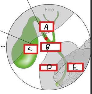 <p>Compléter le schéma</p>