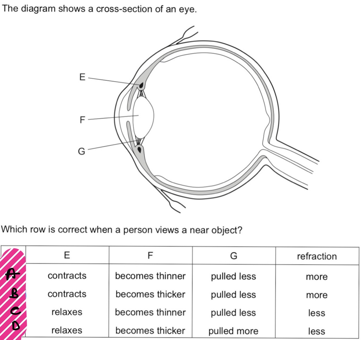<p>The diagram shows a cross-section of an eye.</p><p>Which row is correct when a person views a near object?</p>