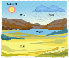 <p>Non-living parts, including sunlight, temperature, water, pH, salinity, and soil.</p>