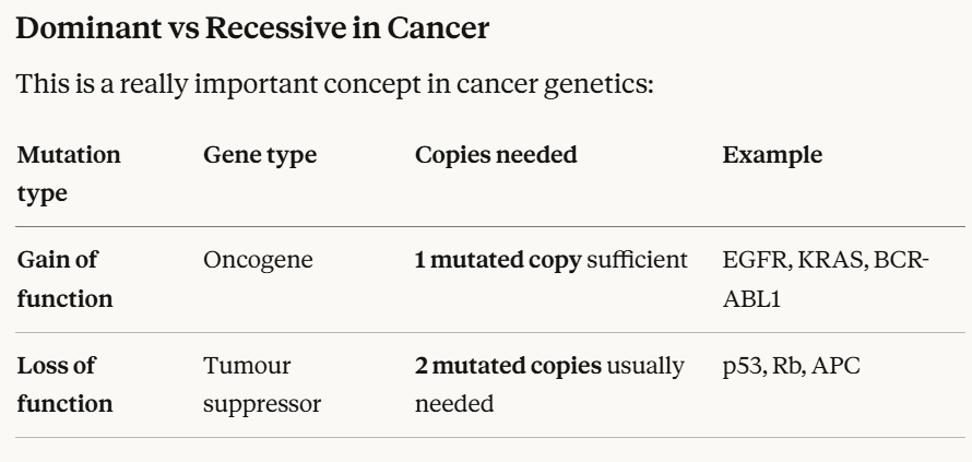 <p><strong>Gain-of-function mutations</strong> in <strong>oncogenes</strong> cause <strong>constant activation</strong> of growth receptors (like <strong>EGFR</strong>) or signaling molecules (like <strong>Ras</strong>), leading to <strong>uncontrolled cell growth</strong></p><p></p><p><span style="color: blue;"><strong>gain of function, dominant, only 1 mutated copy is sufficient. e.g. bcr-abl, egfr, </strong></span></p>