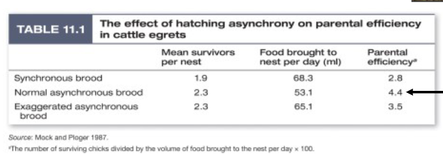 <p>what does this graph show?</p>