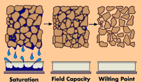 <p>Field Capacity?</p>