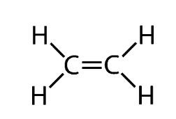 <ul><li><p>ene: <span style="background-color: transparent; font-family: "Times New Roman", serif;">Indicates the presence of a C=C double bond, which contains 1 σ bond + 1 π bond. </span></p></li></ul><p></p>