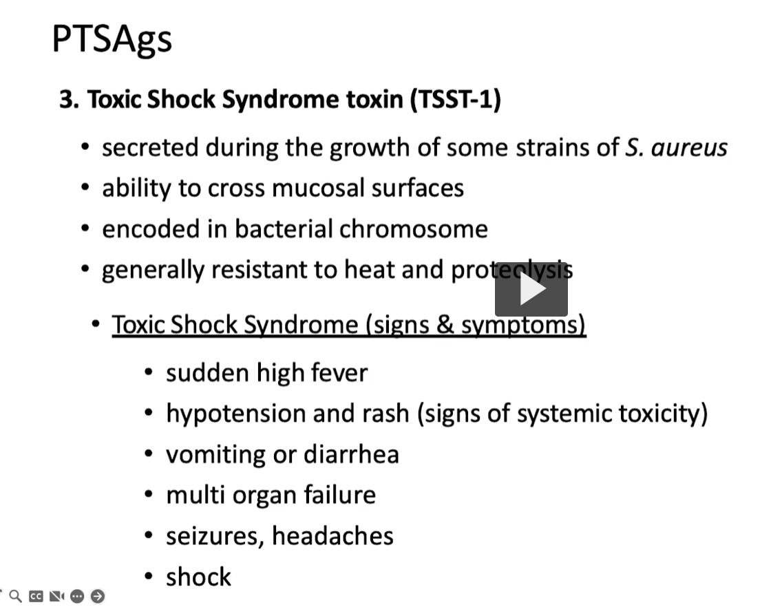 <p>Toxic-Shock-Syndrome Toxin-1</p><p><strong>Etymology</strong> <strong>1. Toxic</strong> </p><ul><li><p>Greek <em>toxikon</em> = <strong>poison</strong></p></li></ul><p> <strong>2. Shock</strong> </p><ul><li><p>From French <em>choc</em> = <strong>sudden impact/collapse</strong><br><span data-name="point_right" data-type="emoji">👉</span> In medicine: <strong>circulatory collapse (low blood pressure)</strong></p></li></ul><p> <strong>3. Syndrome</strong> </p><ul><li><p>Greek:</p><ul><li><p><strong>“syn-”</strong> = together</p></li><li><p><strong>“dromos”</strong> = running/course</p></li></ul></li></ul><p><span data-name="point_right" data-type="emoji">👉</span> <strong>Syndrome = a group of symptoms occurring together</strong></p><p> <strong>4. Toxin (TSST-1)</strong> </p><ul><li><p><strong>TSST-1 = Toxic Shock Syndrome Toxin-1</strong><br><span data-name="point_right" data-type="emoji">👉</span> The <strong>first identified toxin</strong> causing this syndrome</p></li></ul><div data-type="horizontalRule"><hr></div><p> <strong>Definition</strong> </p><p><strong>TSST-1</strong> is a <strong>superantigen exotoxin</strong> produced by <em>Staphylococcus aureus</em> that:</p><p><span data-name="point_right" data-type="emoji">👉</span> <strong>Triggers massive, non-specific activation of T-cells</strong><br>→ leads to a <strong>cytokine storm</strong></p>