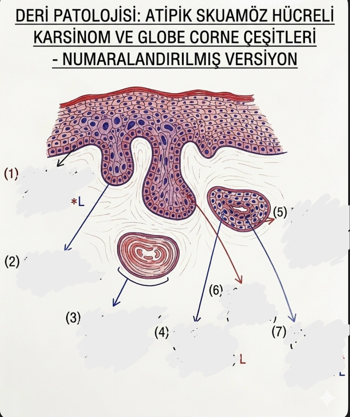 <p>ne</p>