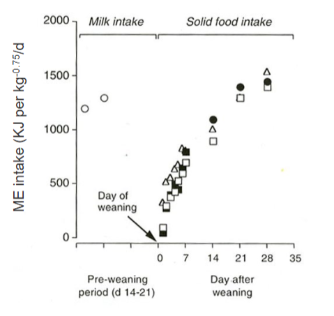 <p>Change from milkk intake to solid food intake</p><p>drop and then increase day 28</p>