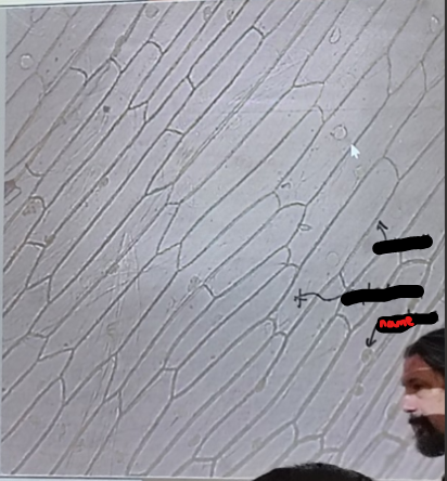 <ol><li><p>Name the part</p></li></ol><p></p>