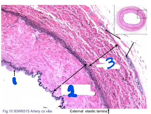 <p>1?</p>