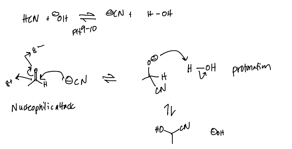 <p>The strong nucleophile here is CN-, attacking the basic carbonyl carbon and then getting protonated in an acid workup step</p>