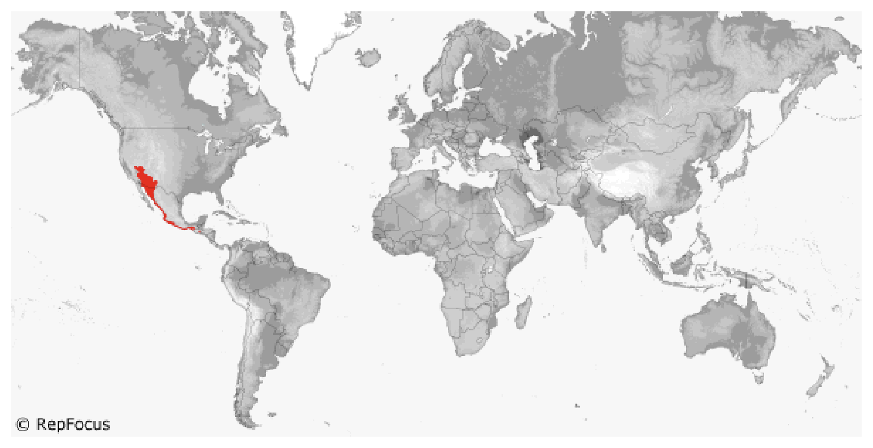 <p>Helodermatidae</p>