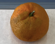 term image