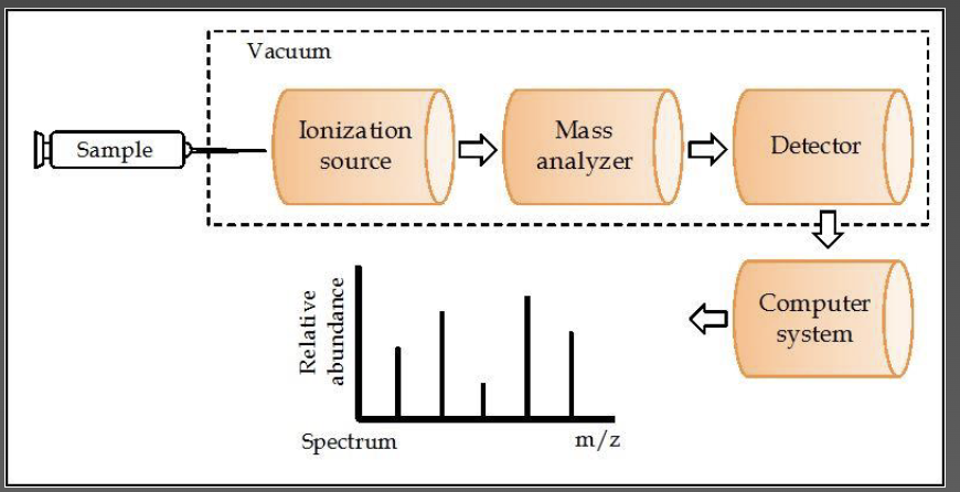 <ul><li><p>analytical technique that sorts ions according to their mass to charge ratio</p></li><li><p><strong>ionization source</strong> - small sample is ionized, usually to cations by loss of an electron</p></li><li><p><strong>mass analyzer</strong> - ions are sorted and separated according to their mass and charge</p></li><li><p><strong>detector</strong> - separated ions measured and results displayed on a chart as a spectrum (Fragmentation pattern) </p></li></ul><p></p>