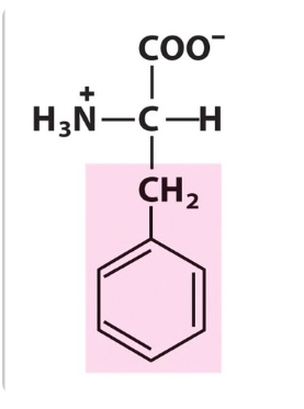 <p>What amino acid is this? </p>